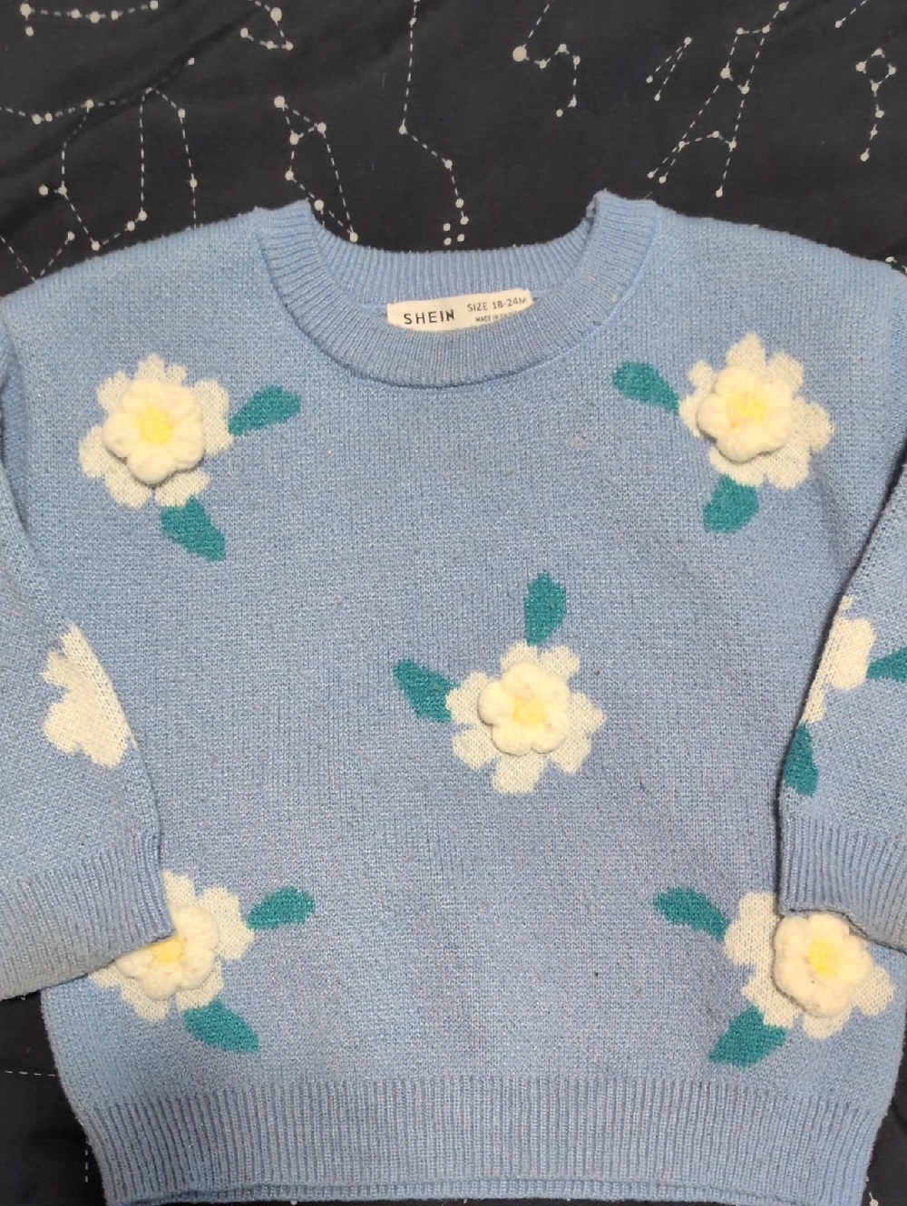 SHEIN Light Blue Floral Applique Crewneck Sweater